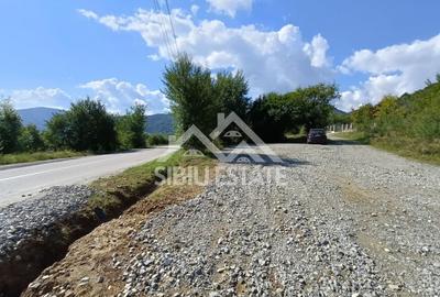 Teren  construibil ,la sosea, intre Vale si Sibiel, zona cu potential - 5