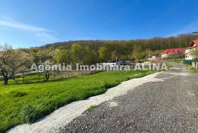 Teren de 7257 mp, în Vulcan - 5