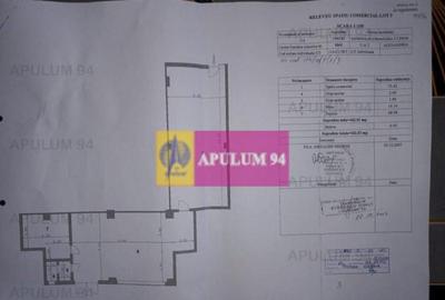 Ocazie ! spatiu comercial Alexandria - 10