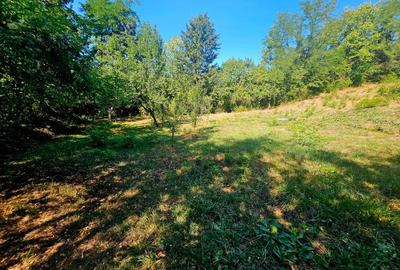 Teren intravilan 2322 mp, Păcuri – vedere superbă spre pădure! - 12
