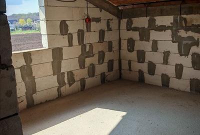 Casă cu 7 camere cu Teren 442 Mp în Clinceni - 4
