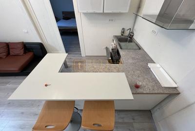 Iosefin; centrala proprie, mobilat modern. - 3