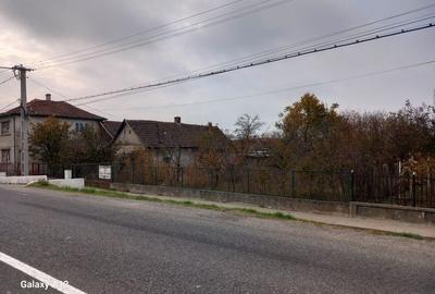 BRASADAS vinde casa individuala in Ardud langa SANTEC. - 6