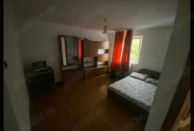 Garsonieră decomandată în Teiu - 5