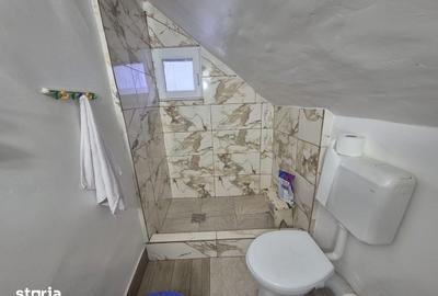Casă cu 2 camere cu Teren 5135 Mp în Dobreni - 7
