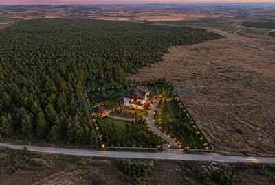 Teren Construcții intravilan de 35693 mp, în Gepiu - 1