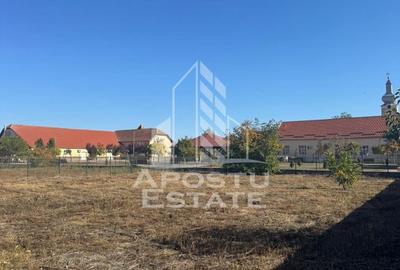 Casă cu 3 camere cu Teren 1608 Mp în Checea - 8