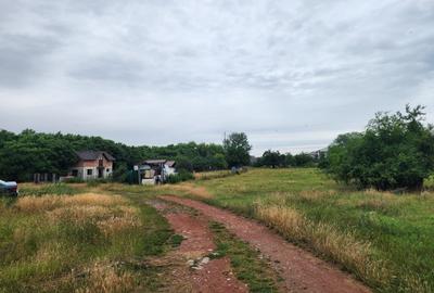 Teren Construcții de 700 mp, în Giroc - 3