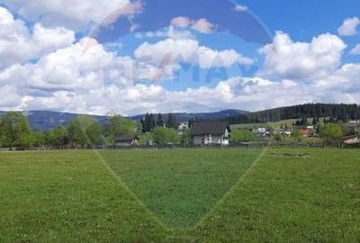 Teren de 13650 mp, în Dorna-Arini - 7