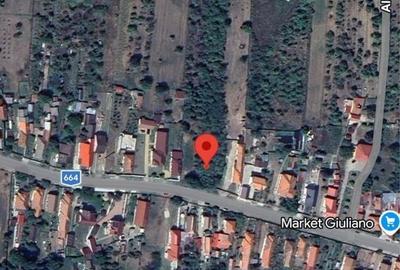 Teren de 2455 mp, în Turcinești - 1