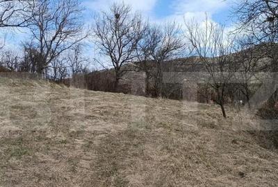 Casa veche cu teren generos de 5.300 mp oportunitate de - 6