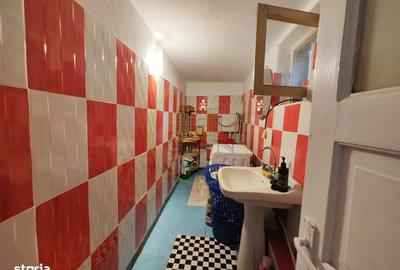 Casă cu 4 camere în Leamna de Sus - 15