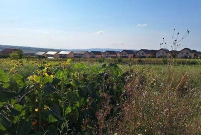 Spațiu comercial, în Valea Lupului - 3