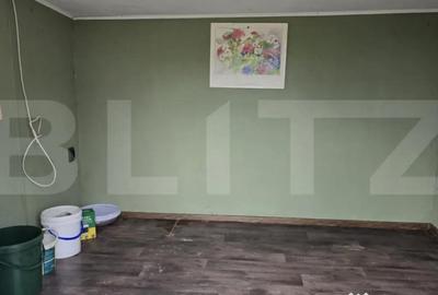 Teren de 1996 mp, în Viile Satu Mare - 13