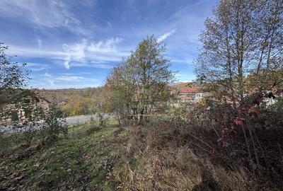 TEREN INTRAVILAN 13167 MP BUGHEA DE SUS ARGES - 2