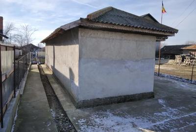 Casă cu 3 camere în Manasia - 1