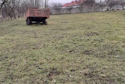 Spațiu comercial, de 3,600 mp, în Șura Mare - 3