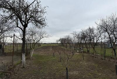 Casă cu 3 camere cu Teren 1000 Mp în Săbolciu - 5