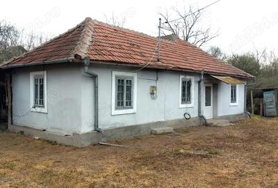 Casă cu 4 camere cu Teren 4000 Mp în Izvoru Bârzii - 3