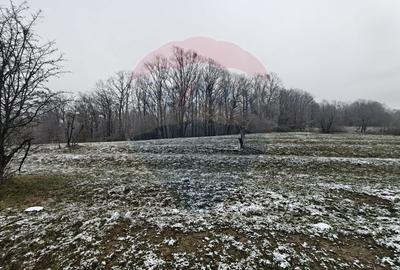 Teren Construcții intravilan de 5700 mp, în Exterior Sud - 3