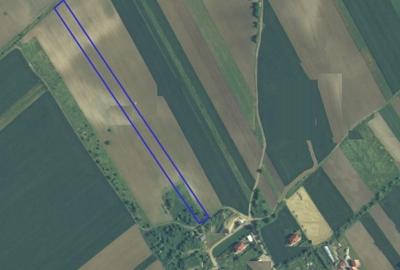 Darza, teren intravilan, 1ha langa case, deschidere 22 m - 4