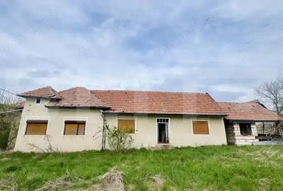 Casă cu 3 camere cu Teren 4139 Mp în Central