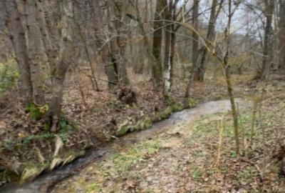 Teren de 6500 mp, în Morărești