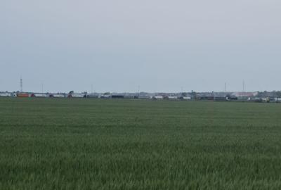 Anunturi vanzari terenuri in Lazu - 9