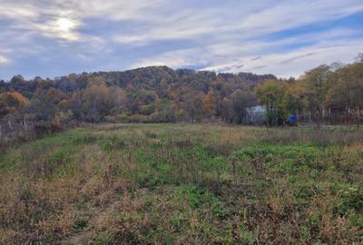 Teren intravilan, 4967 mp, utilita?i, sat Rasova, Bale? - 1