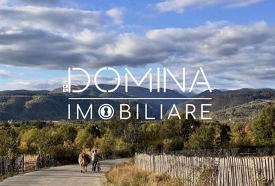 Spațiu comercial, în Baia de Fier - 5