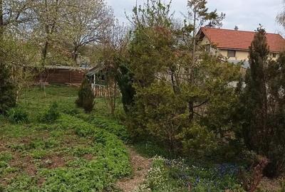 Casă cu 3 camere cu Teren 600 Mp în Central - 8