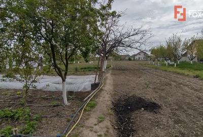 Casă cu 3 camere cu Teren 125 Mp în Sânmihaiu Român - 5