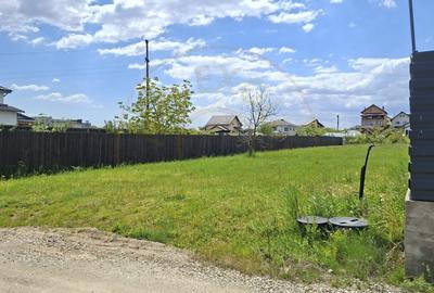 Teren Construcții intravilan de 1246 mp, în Bradu - 3