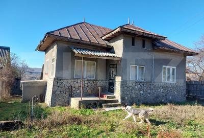 Casa batraneasca, de vanzare, 70 mp, zona Voinesti - 13
