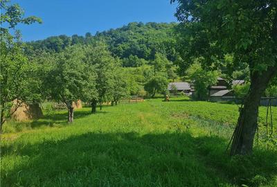 Casă în Săliște - 4