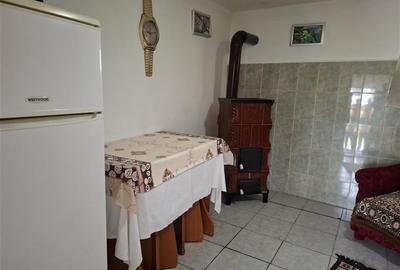 Casa Gugesti, sat Oreavu, 1870 mp teren - 11