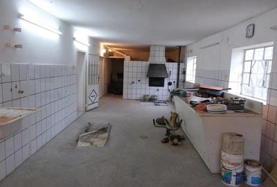 Casă cu 3 camere cu Teren 1689 Mp în Pădureni - 18