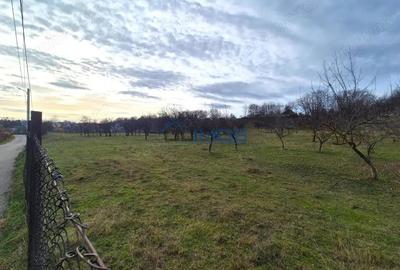 Teren de 9123 mp, în Central - 14