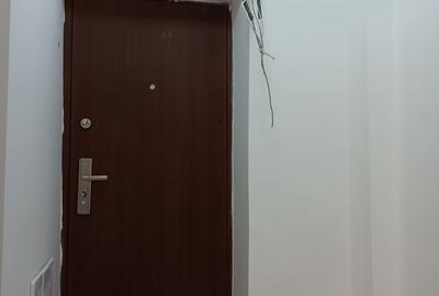 Garsonieră semidecomandată în Pantelimon - 8