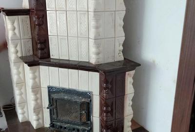 Casă cu Teren 1087 Mp în Poienari - 3