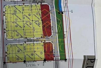 Teren intravilan pentru locuinte 7788 mp I Sacalaz Teren intravilan pentru locuinte 7788 mp I Sacalaz - 2