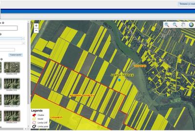 12 Ha Teren Agricol Vlad Tepes CL - Comision 0% - 2