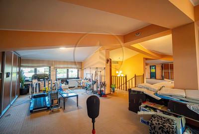 DACIA - Vila D+P+1E+M, teren 780 mp, deschidere 24 ml. - 36