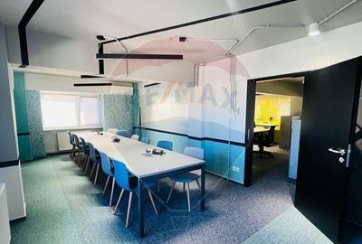 Spa?ii de birouri zona Independen?ei - 10