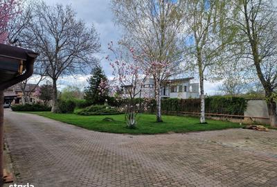 Spațiu comercial, în Central - 2