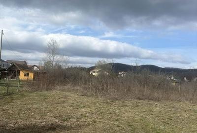 Teren de 1000 mp, în Bănești