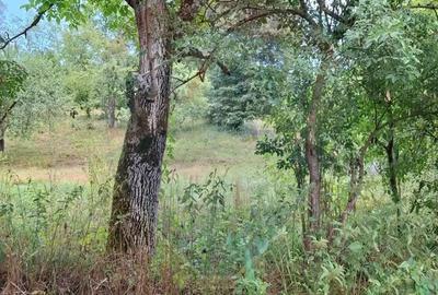 Teren de vanzare 990mp in Barzava, jude?ul Arad - 8