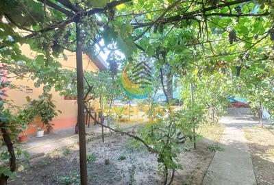 Casă individuală cu 6 camere cu Canalizare în Brâncoveanu - 4