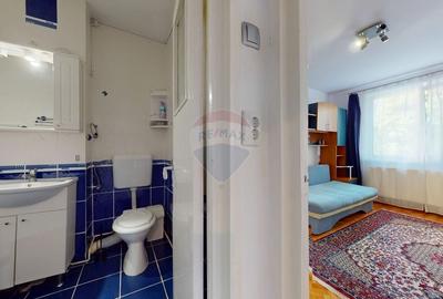 Apartament cu 2 camere decomandat, mobilat în Vlahuță - 12