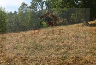 Teren agricol extravilan de 11740 mp, în Corbeni - 3